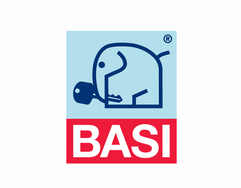 BASI BASI